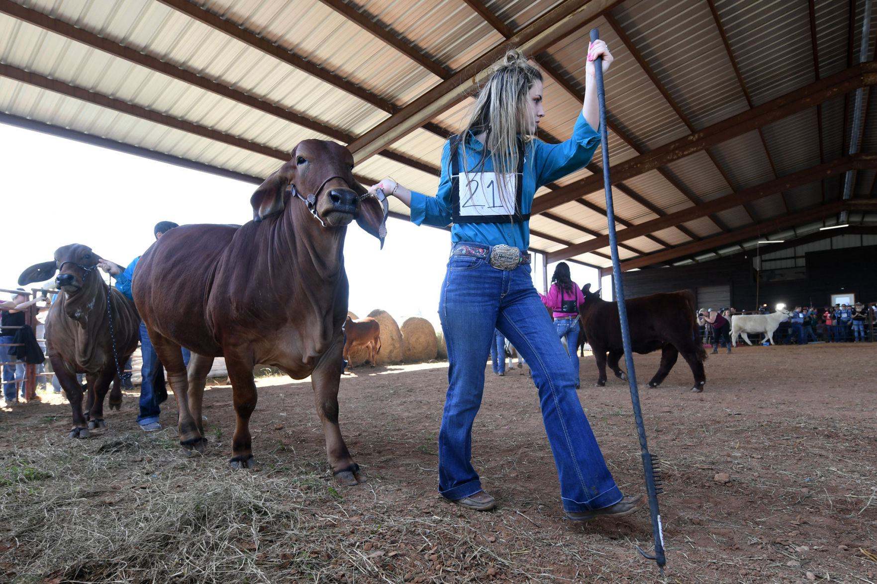 BTHO Coronavirus show